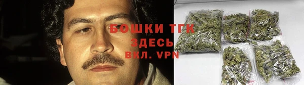 spice Верея