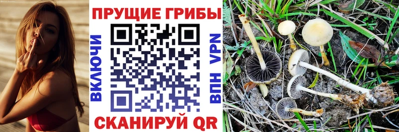 Галлюциногенные грибы MAGIC MUSHROOMS  Купить где  Покачи 